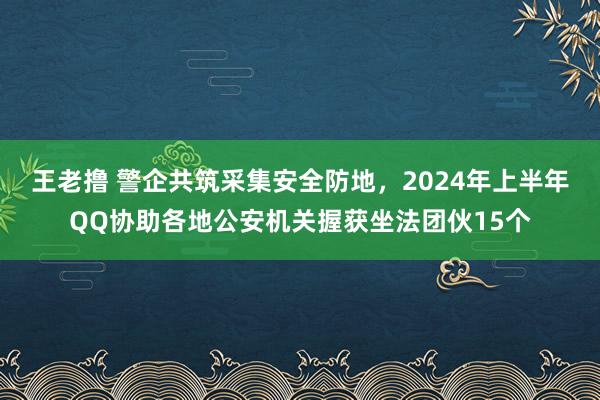 王老撸 警企共筑采集安全防地，2024年上半年QQ协助各地公安机关握获坐法团伙15个