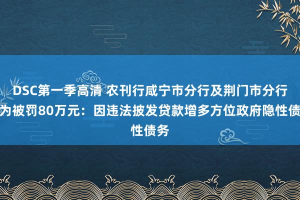 DSC第一季高清 农刊行咸宁市分行及荆门市分行以为被罚80万元：因违法披发贷款增多方位政府隐性债务