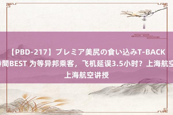 【PBD-217】プレミア美尻の食い込みT-BACK！8時間BEST 为等异邦乘客，飞机延误3.5小时？上海航空讲授