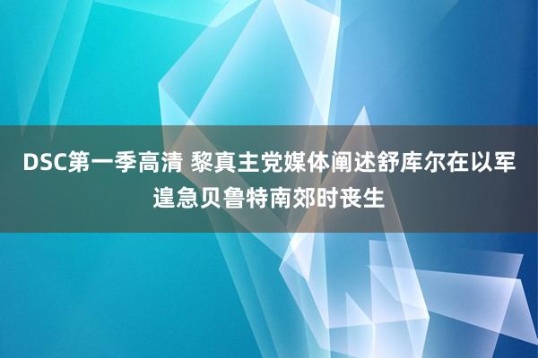 DSC第一季高清 黎真主党媒体阐述舒库尔在以军遑急贝鲁特南郊时丧生