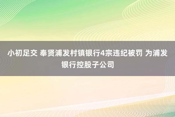 小初足交 奉贤浦发村镇银行4宗违纪被罚 为浦发银行控股子公司