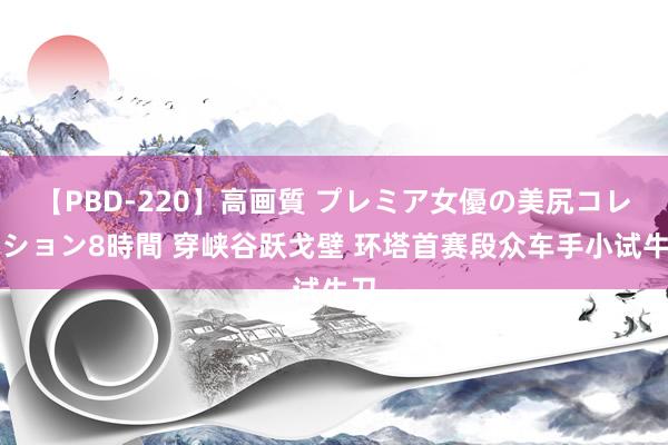 【PBD-220】高画質 プレミア女優の美尻コレクション8時間 穿峡谷跃戈壁 环塔首赛段众车手小试牛刀