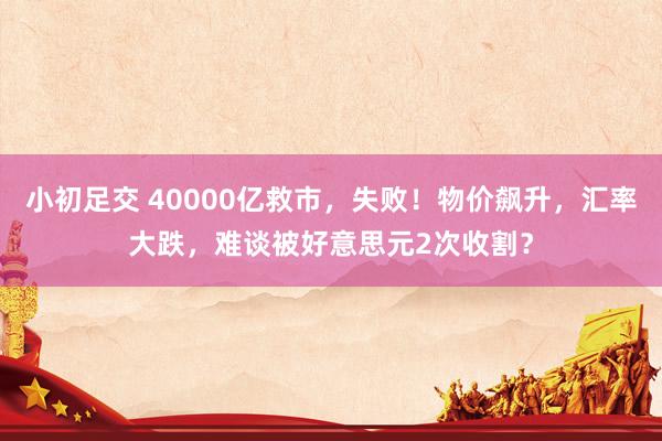 小初足交 40000亿救市，失败！物价飙升，汇率大跌，难谈被好意思元2次收割？