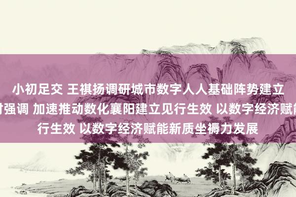 小初足交 王祺扬调研城市数字人人基础阵势建立及数字产业发展时强调 加速推动数化襄阳建立见行生效 以数字经济赋能新质坐褥力发展