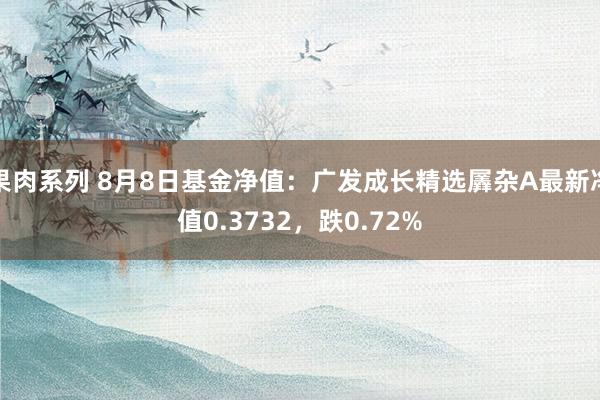 果肉系列 8月8日基金净值：广发成长精选羼杂A最新净值0.3732，跌0.72%