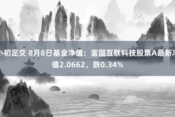 小初足交 8月8日基金净值：富国互联科技股票A最新净值2.0662，跌0.34%