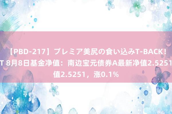 【PBD-217】プレミア美尻の食い込みT-BACK！8時間BEST 8月8日基金净值：南边宝元债券