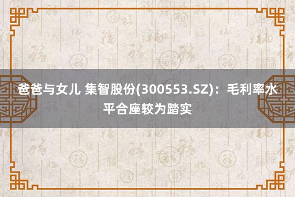 爸爸与女儿 集智股份(300553.SZ)：毛利率水平合座较为踏实