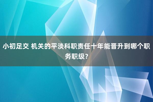 小初足交 机关的平淡科职责任十年能晋升到哪个职务职级？