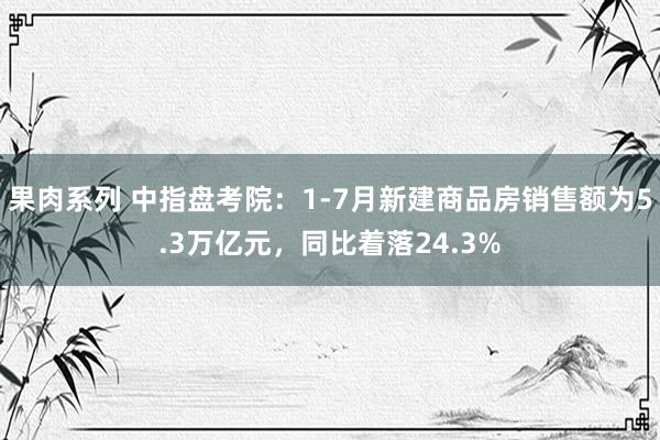 果肉系列 中指盘考院：1-7月新建商品房销售额为5.3万亿元，同比着落24.3%