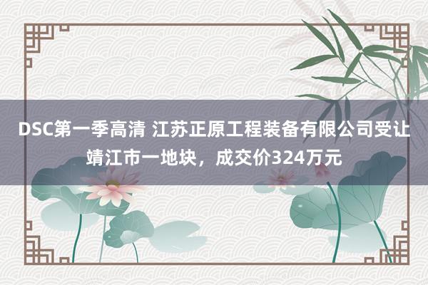 DSC第一季高清 江苏正原工程装备有限公司受让靖江市一地块，成交价324万元