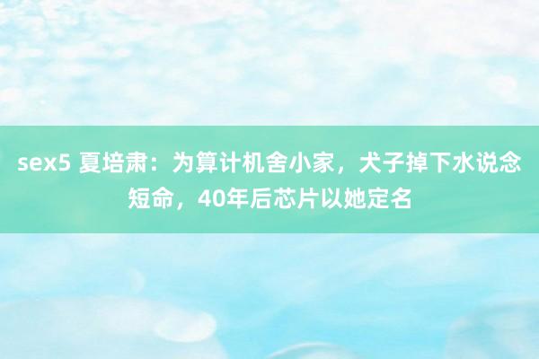 sex5 夏培肃：为算计机舍小家，犬子掉下水说念短命，40年后芯片以她定名