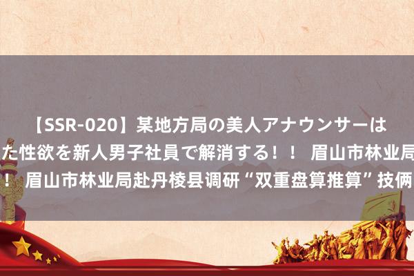 【SSR-020】某地方局の美人アナウンサーは忙し過ぎて溜まりまくった性欲を新人男子社員で解消する！！ 眉山市林业局赴丹棱县调研“双重盘算推算”技俩申诉职责