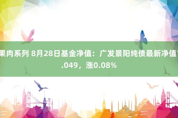 果肉系列 8月28日基金净值：广发景阳纯债最新净值1.049，涨0.08%