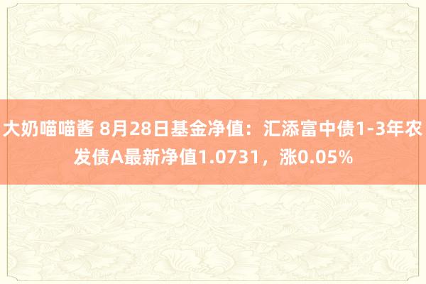 大奶喵喵酱 8月28日基金净值：汇添富中债1-3年农发债A最新净值1.0731，涨0.05%