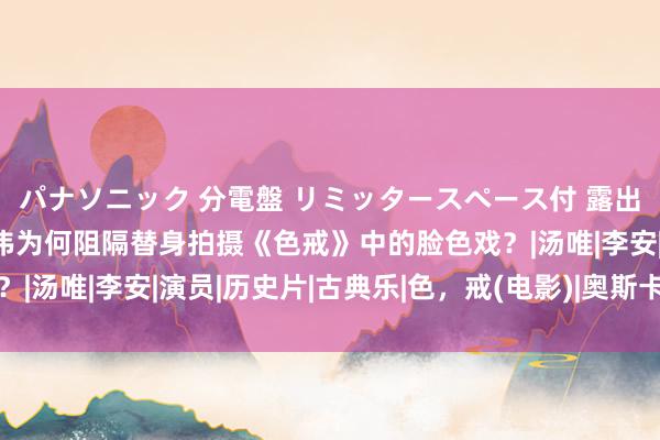 パナソニック 分電盤 リミッタースペース付 露出・半埋込両用形 梁朝伟为何阻隔替身拍摄《色戒》中的脸