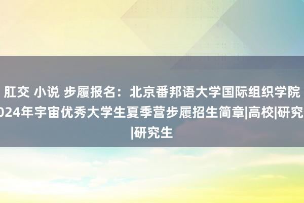 肛交 小说 步履报名：北京番邦语大学国际组织学院2024年宇宙优秀大学生夏季营步履招生简章|高校|研究生